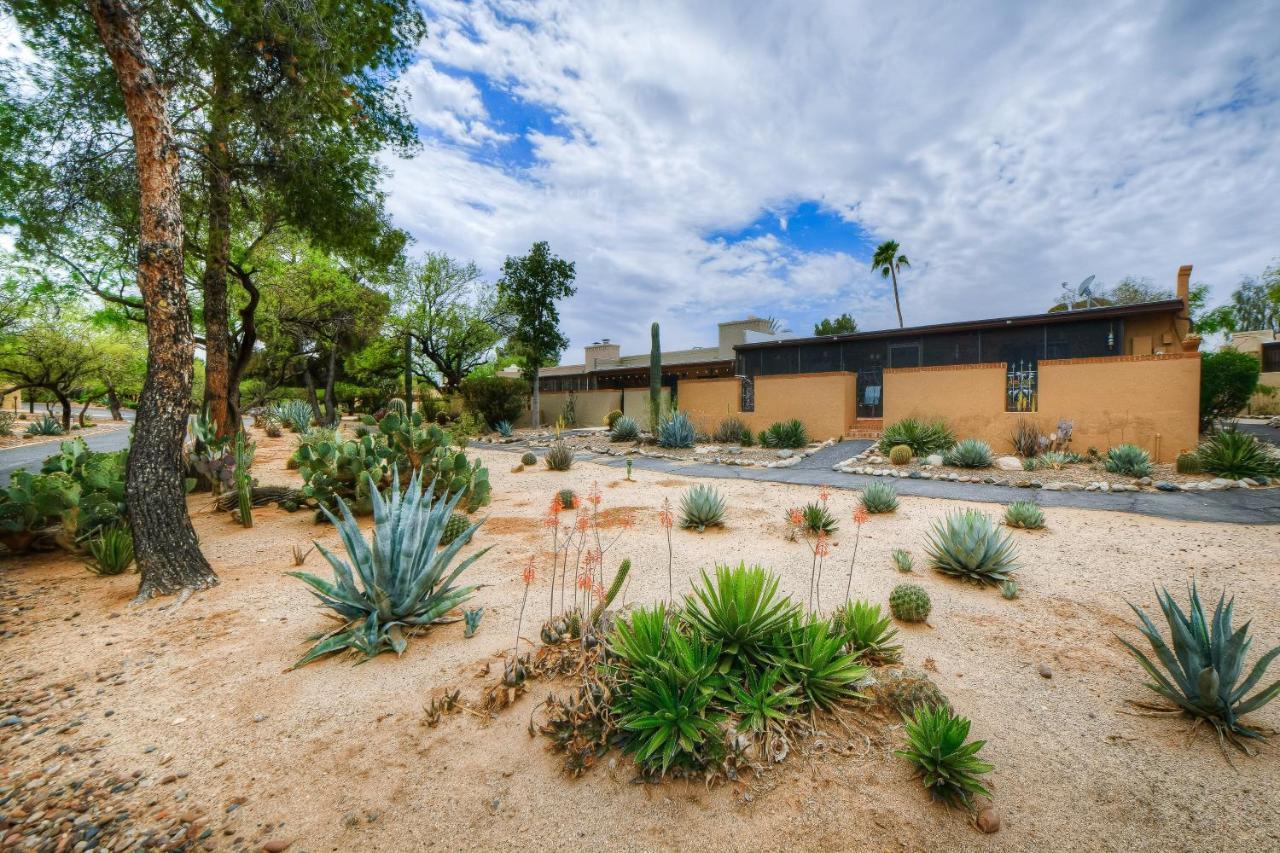 Colonia Tucson